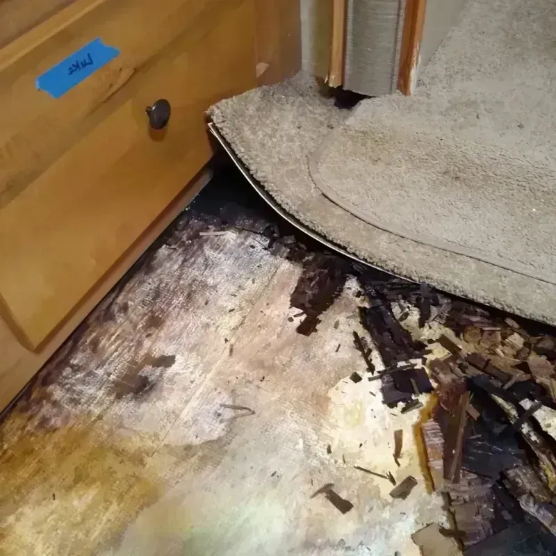 Best Wood Floor Water Damage Service in Taylor Lake Village, TX